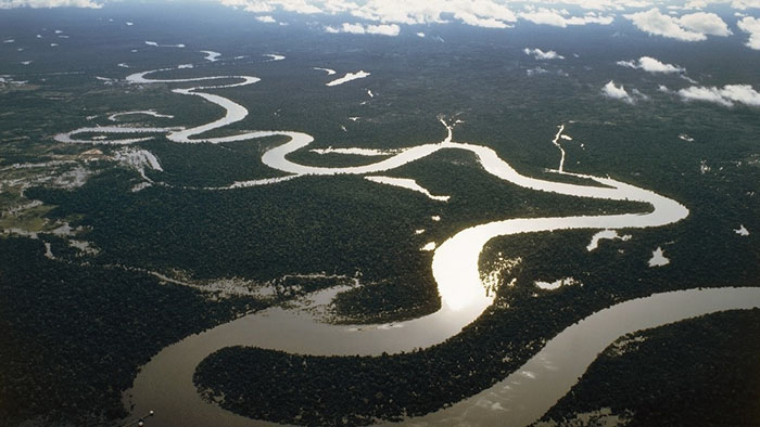 ¿Qué pasará si se seca la selva amazónica?